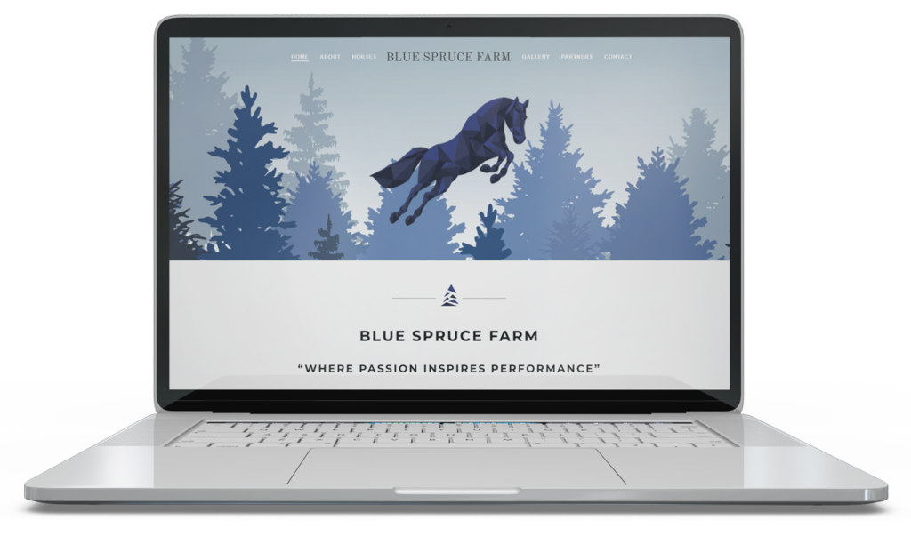 Horse-Acces-mockup-blue-spruce-farms